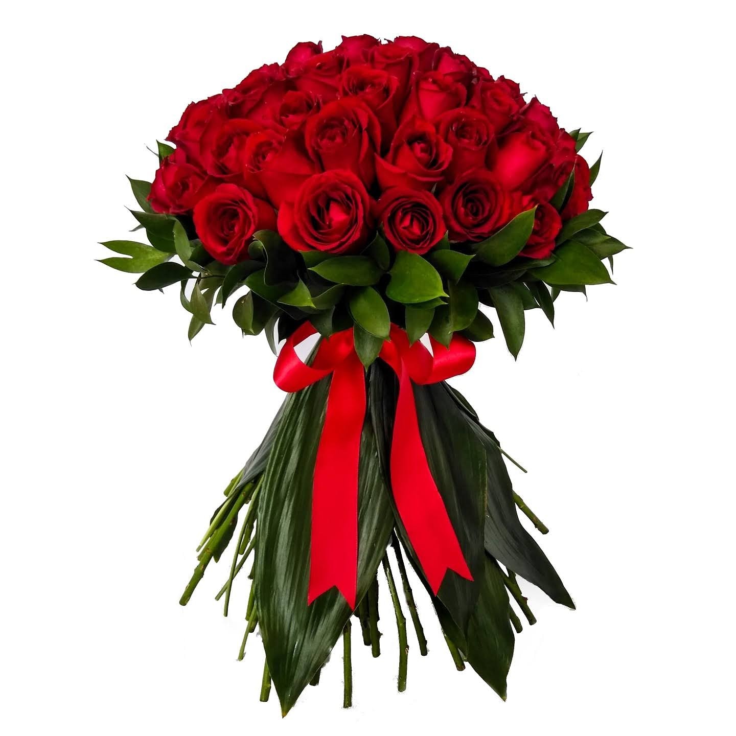 Meu grande amor....